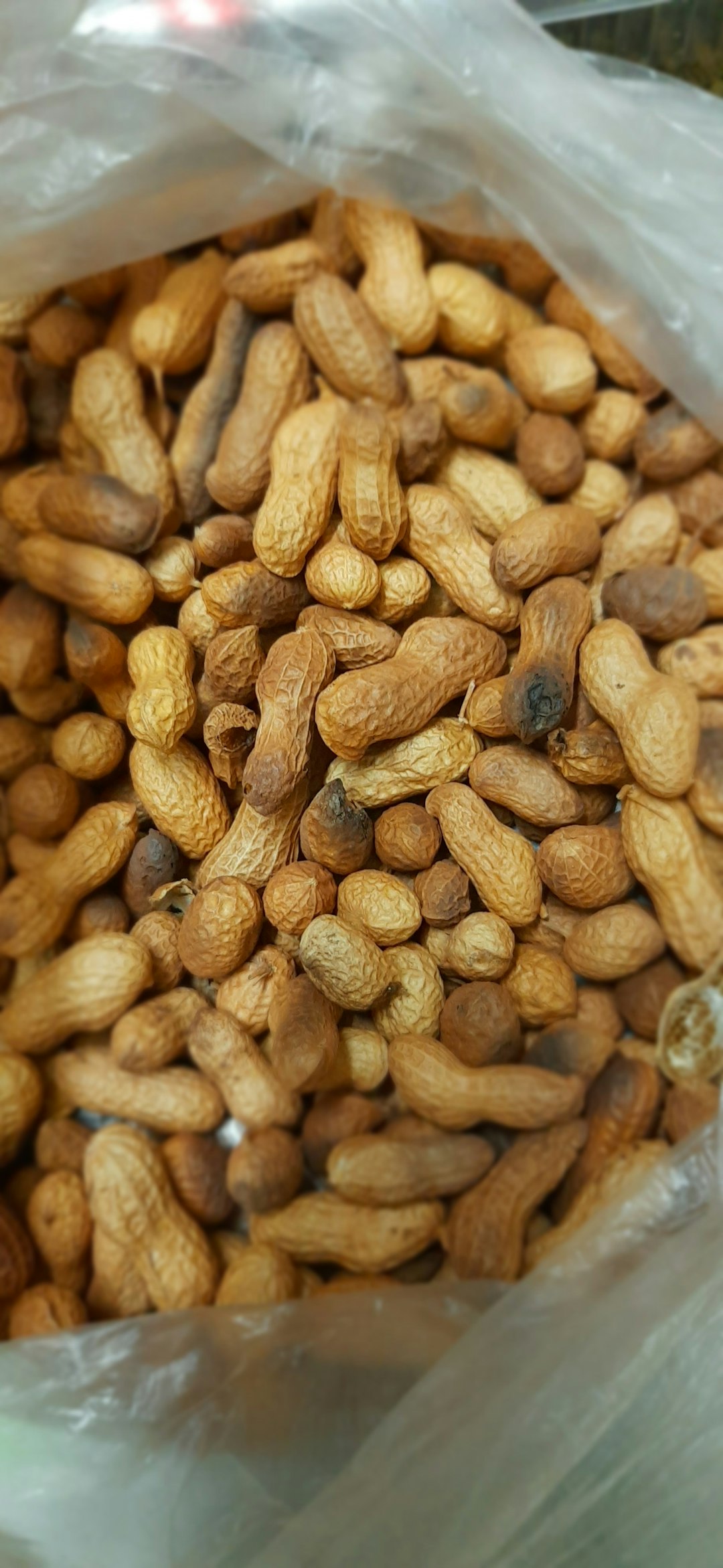 The Peanut Dominance: Georgia's Groundnut Glory (image credits: unsplash)