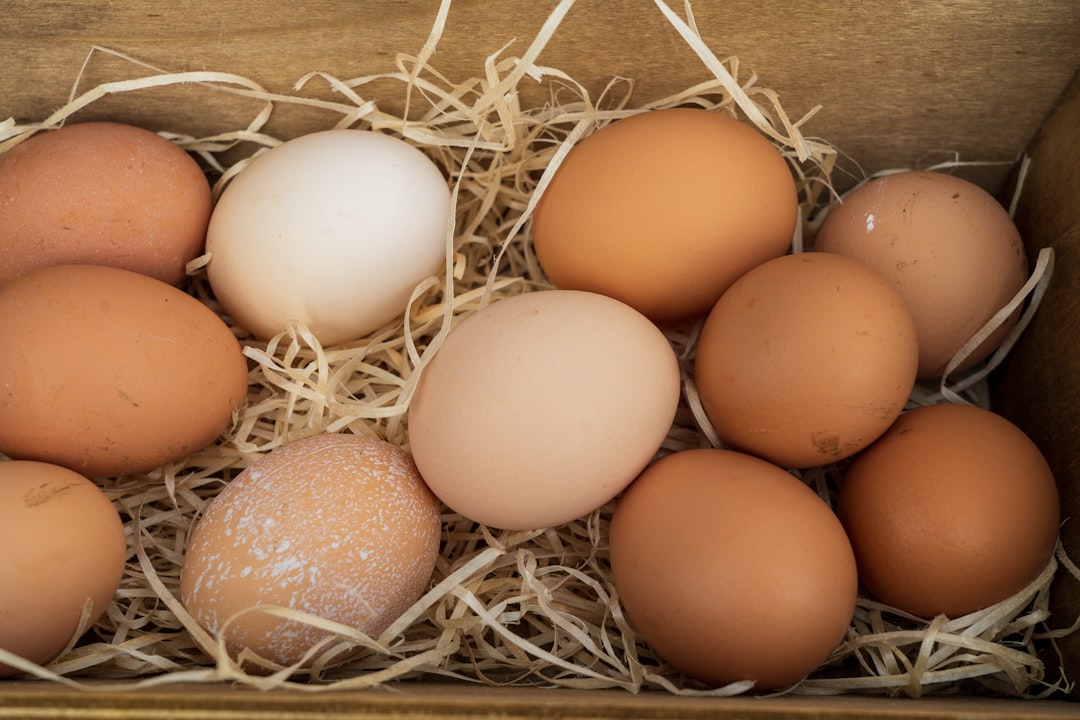 Farm-Fresh Eggs (image credits: unsplash)