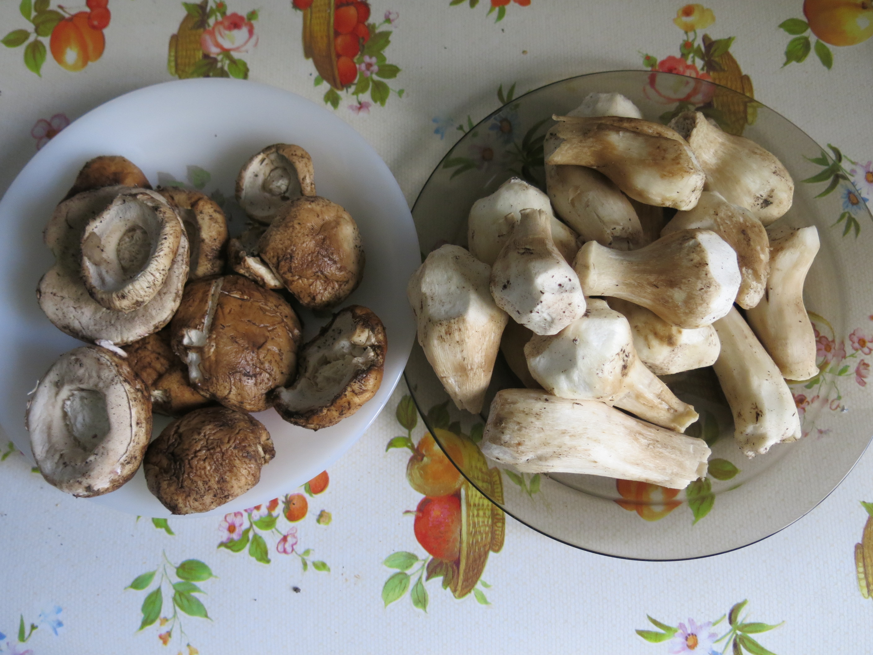 Myth 3: Don’t Wash Mushrooms—They’ll Get Soggy (image credits: wikimedia)