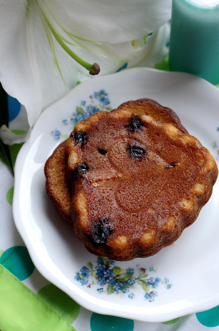 The Rise and Fall of Fruitcake (image credits: pixabay)