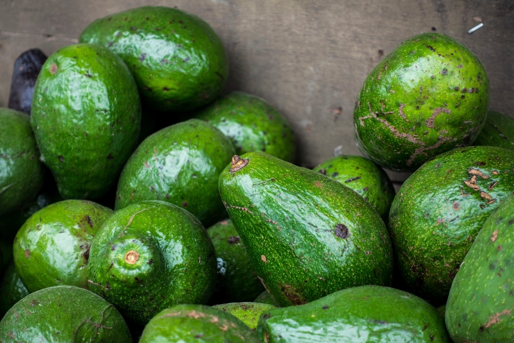 Avocado: The Creamy Superfood (image credits: rawpixel)
