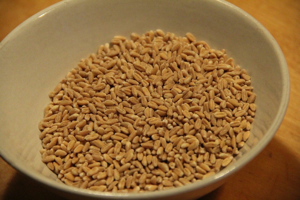 Farro: The Chewy Mediterranean Classic (image credits: flickr)