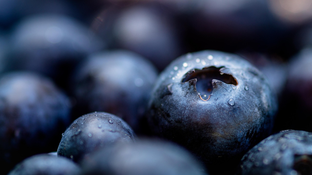 Blueberries: Nature's Tiny Liver Protectors (image credits: pixabay)