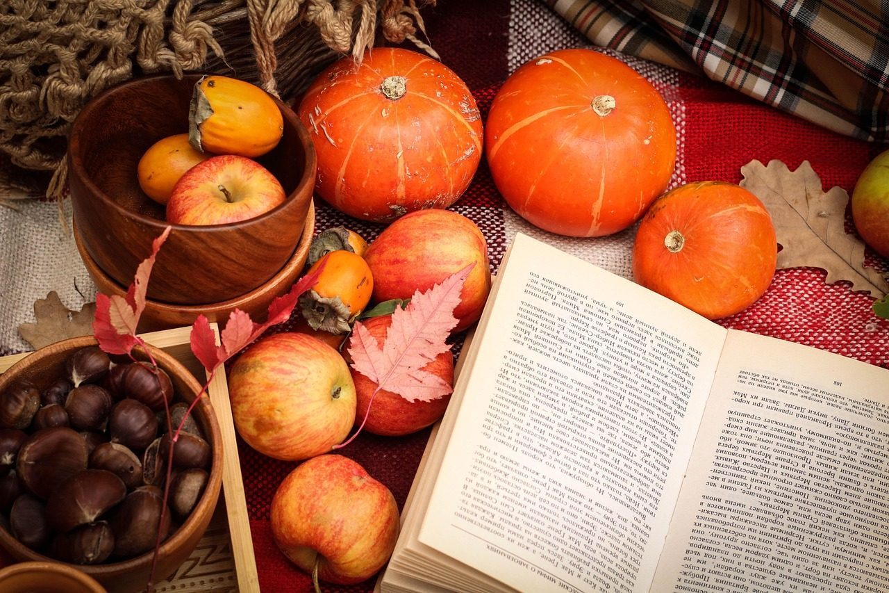 The Copyright Battle That Could Bring Back Your Favorite Bar (Image Credits: Pixabay)