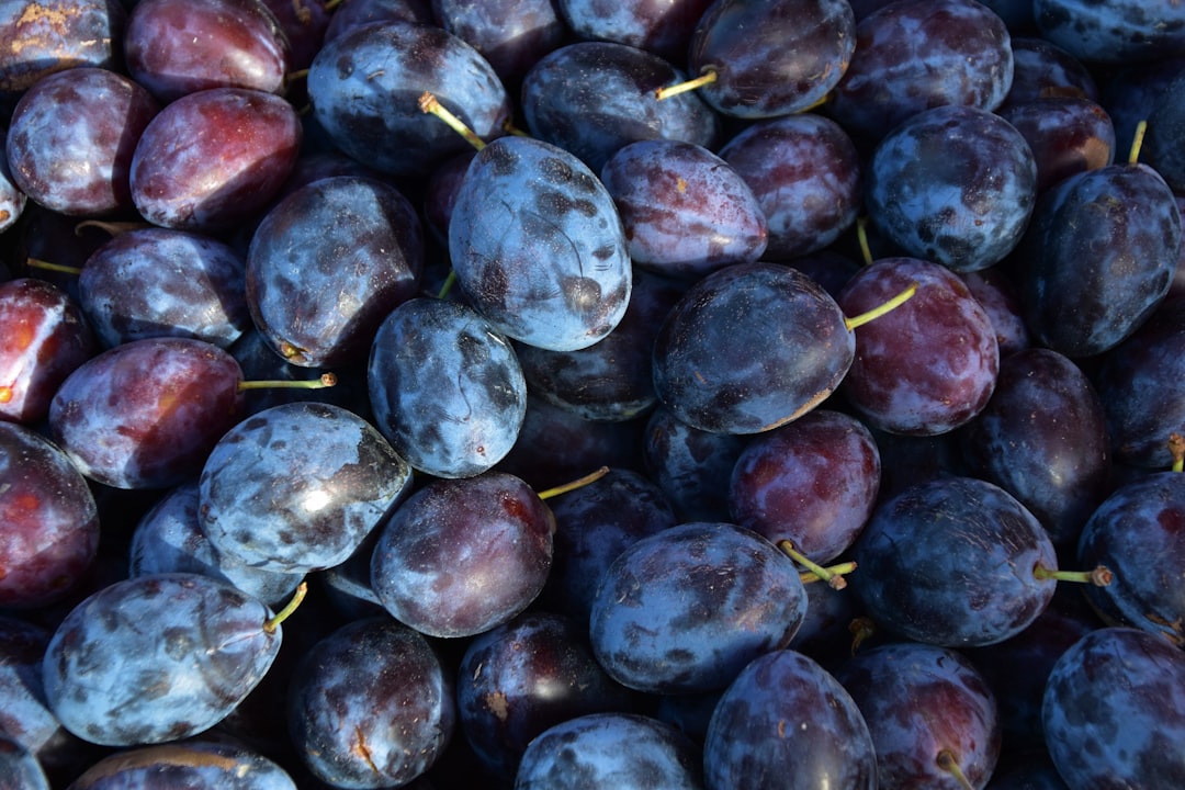 Plums: Juicy and Sweet (image credits: unsplash)