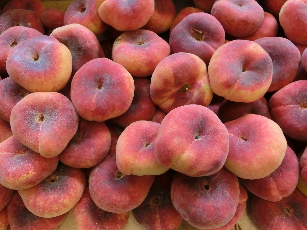 Peaches: The Sweet Summer Delight (image credits: pixabay)