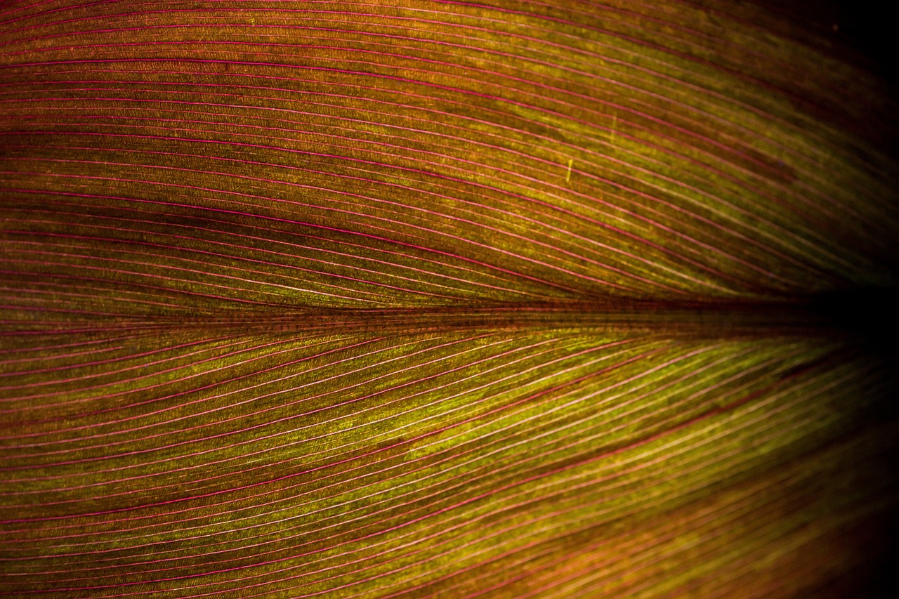 The Secret of Texture (image credits: pixabay)