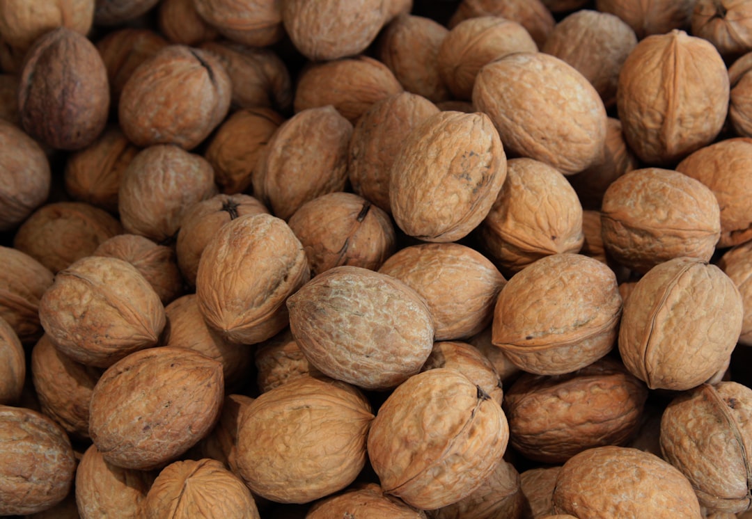 Walnuts (image credits: unsplash)