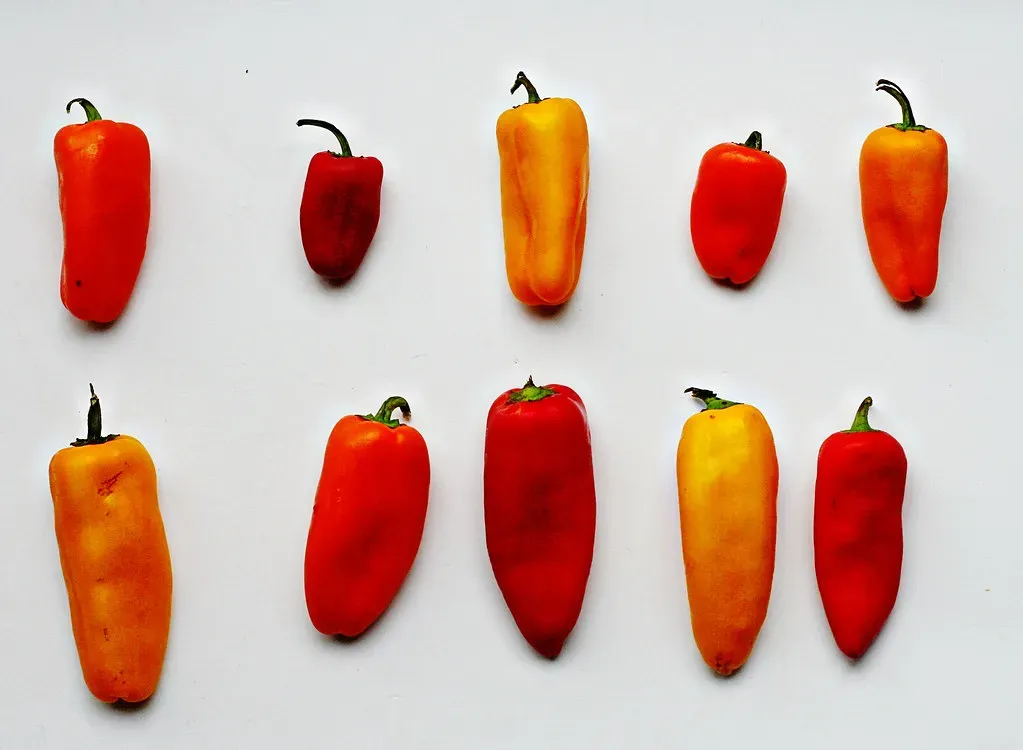 What "Sensory-Specific Satiety" Actually Means (katerha, Flickr, CC BY 2.0)