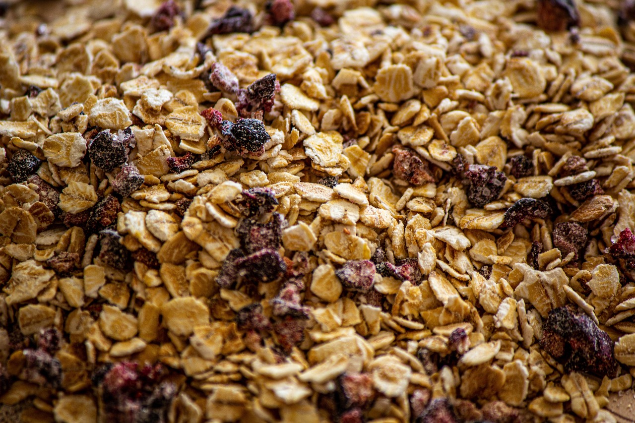 Oatmeal with Sweetened Dried Fruits (image credits: pixabay)