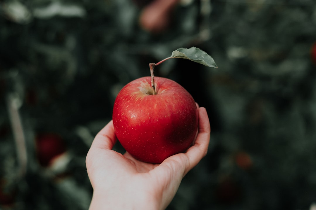 Apples (image credits: unsplash)