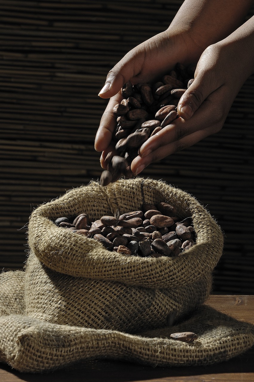 Chocolate (image credits: pixabay)