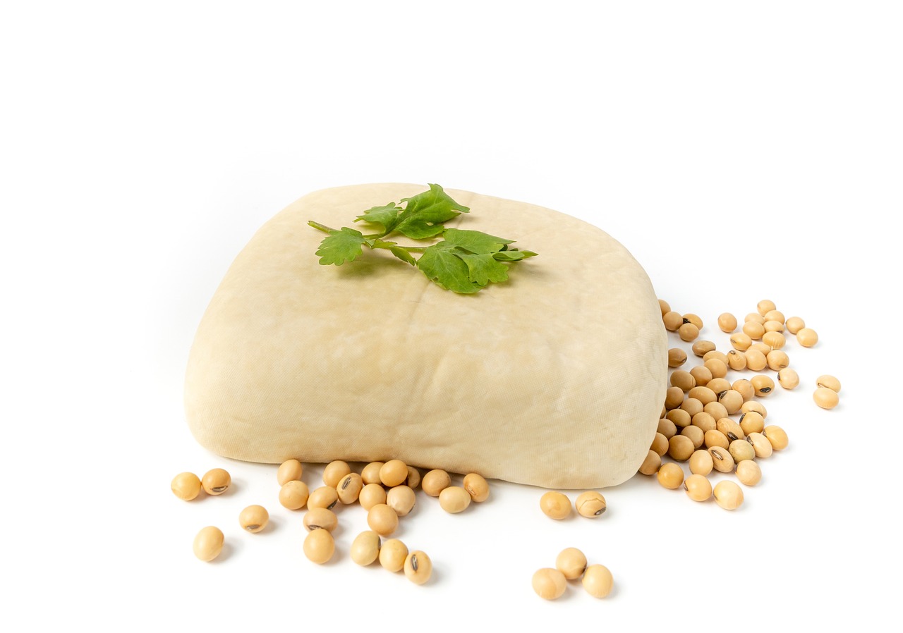 The Soy Story (image credits: pixabay)