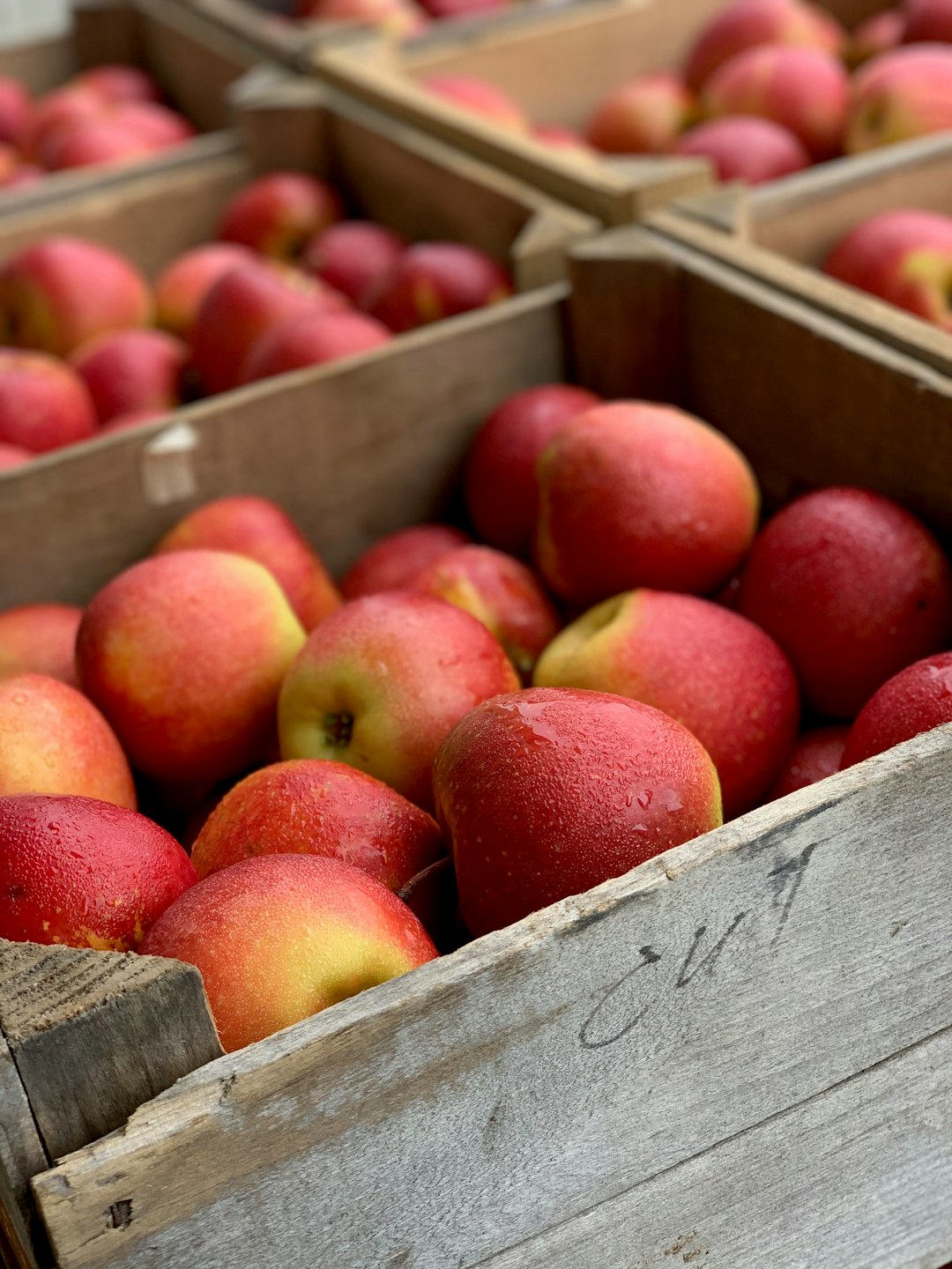 Apples: A Bite Taken Out by Tariffs (image credits: unsplash)