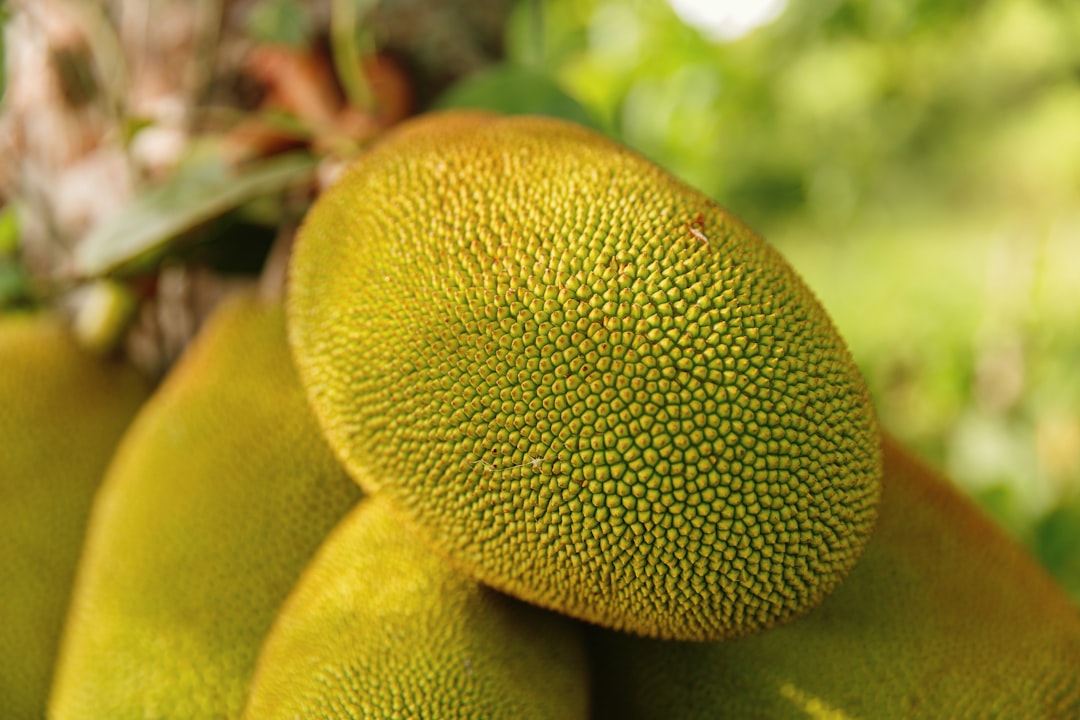 5. The Exotic Jackfruit (image credits: unsplash)