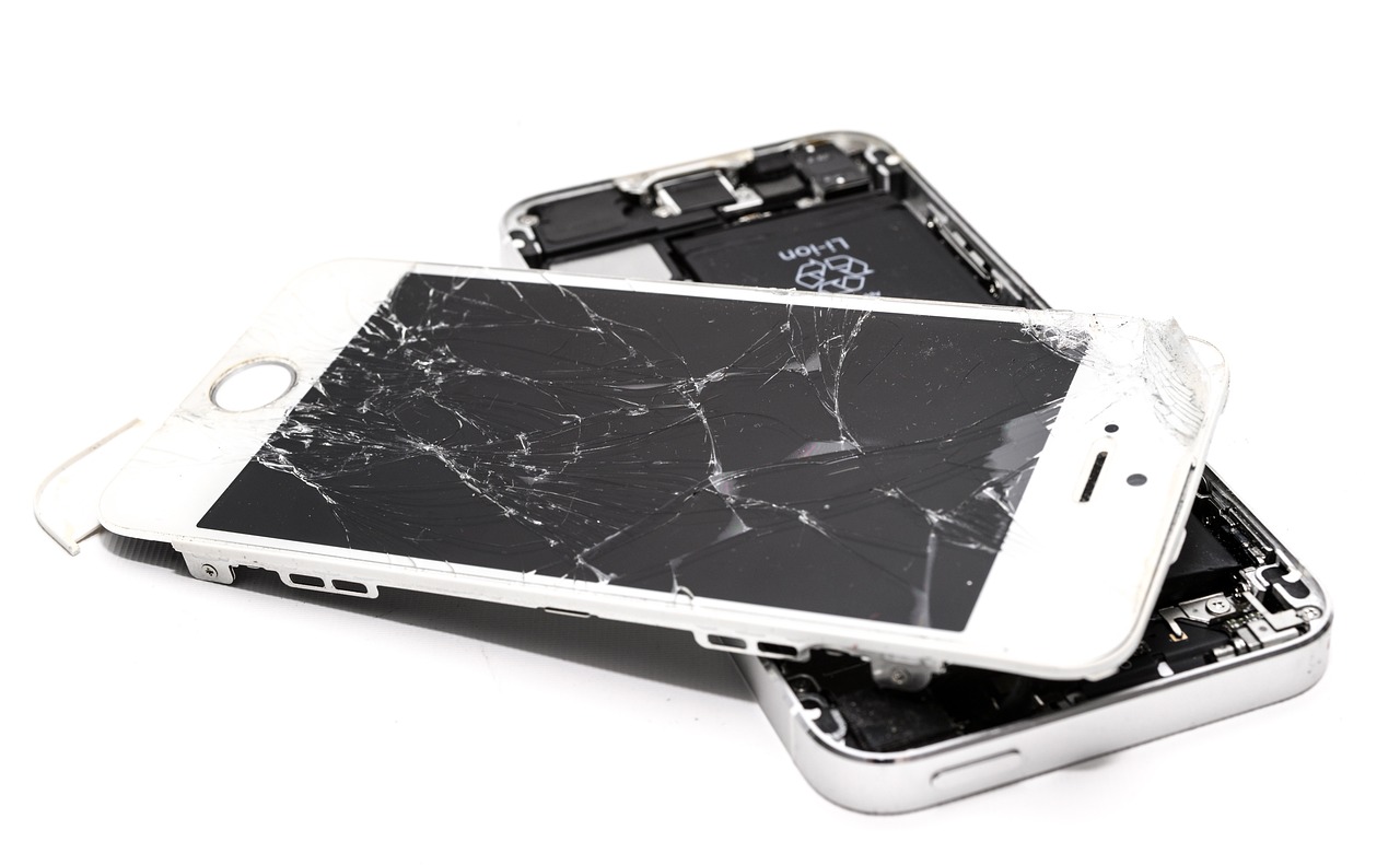 The Cellular Damage Timeline (image credits: pixabay)