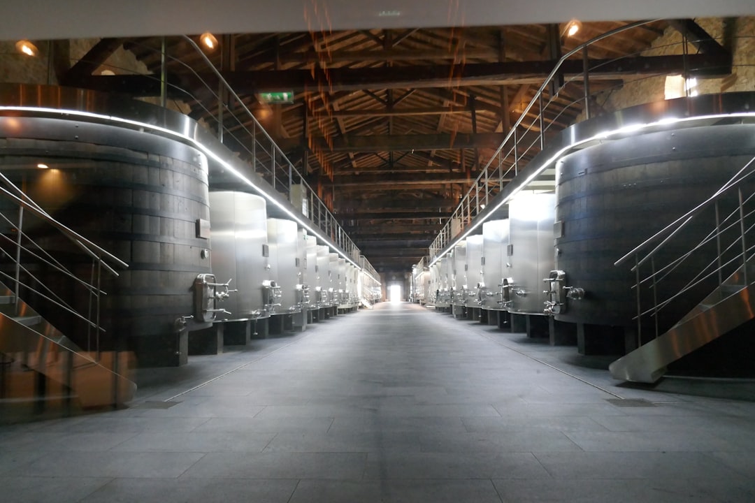 The Future: AI and Smart Fermentation (image credits: unsplash)