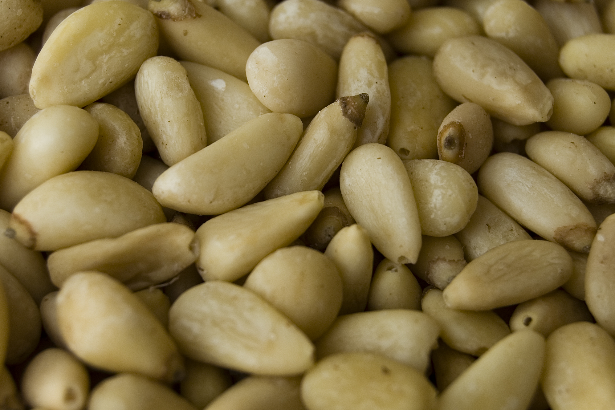 10. Pine Nuts: Small But Mighty (image credits: wikimedia)