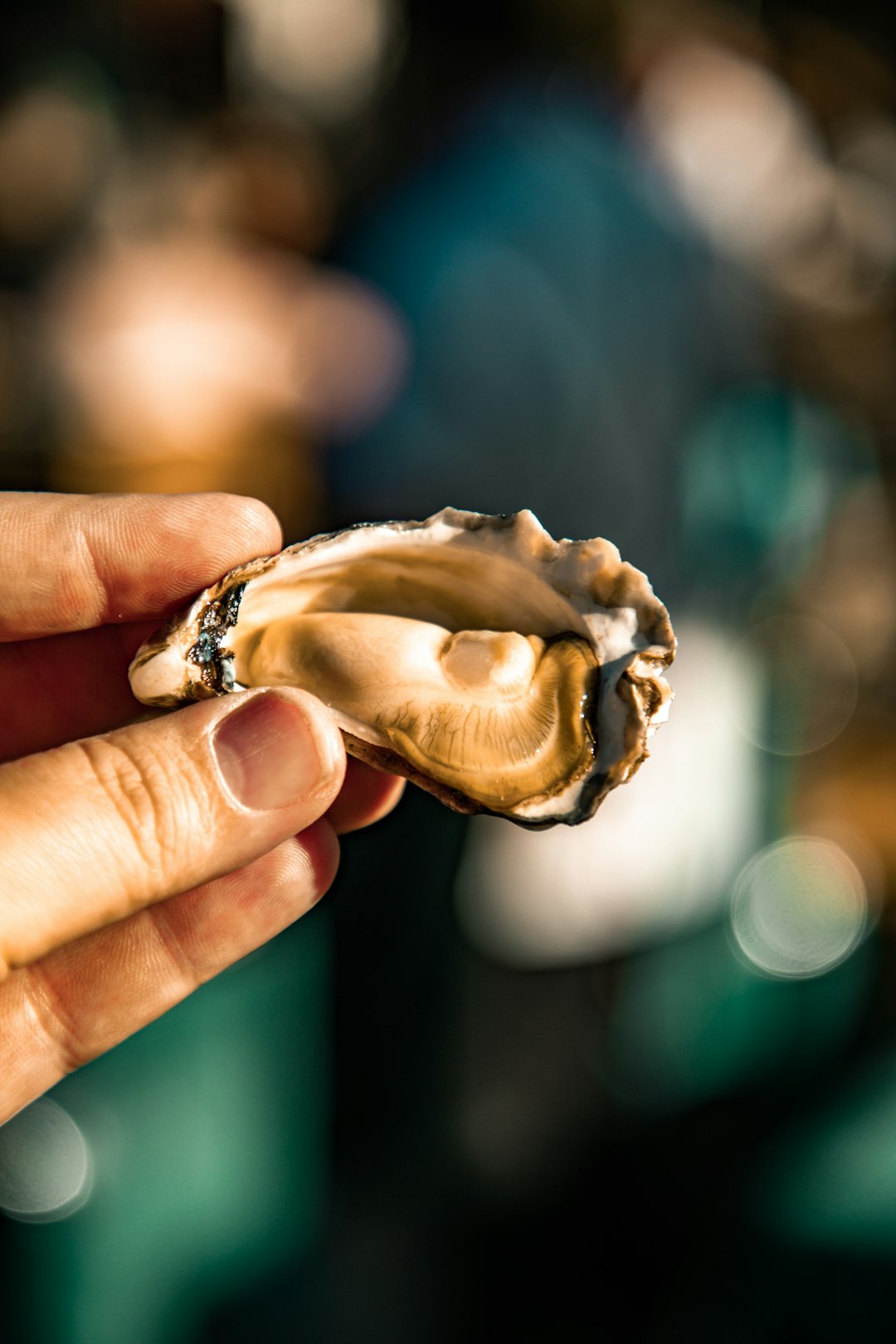 Fresh Oysters - The Perfect Appetite Awakener (Image Credits: MISSING SOURCE)