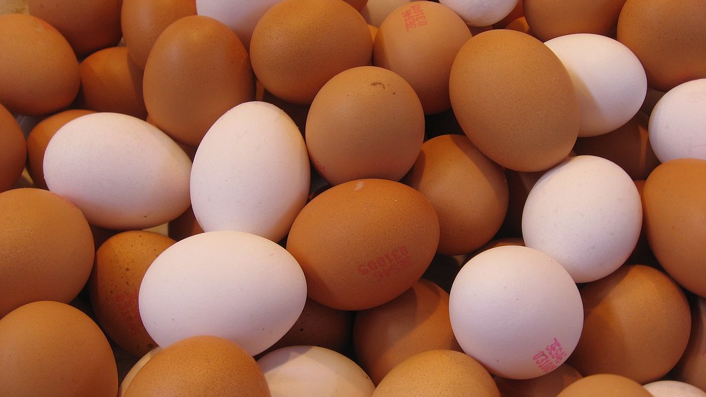 Eggs: The Complete Protein That Costs Pennies (Image Credits: Flickr)
