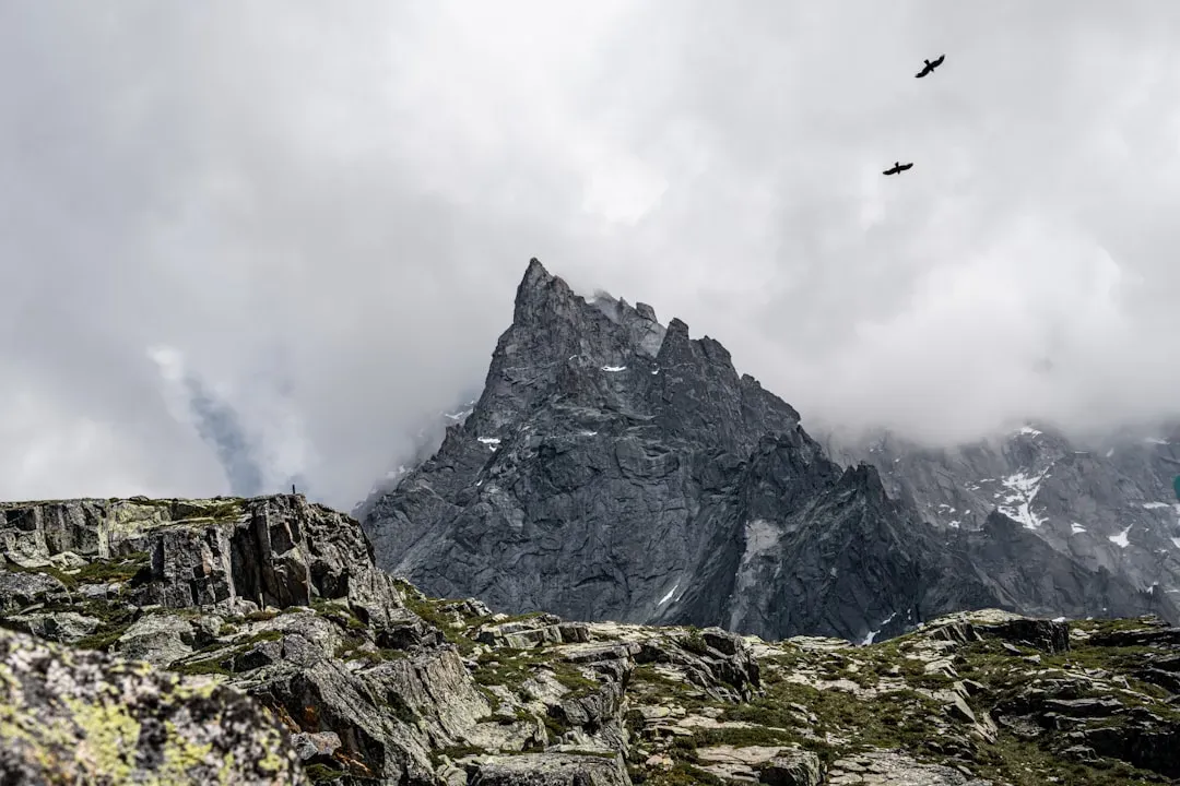 The Bigger Picture: What High-Altitude Beekeeping Tells Us About Future Food Systems (Image Credits: Unsplash)