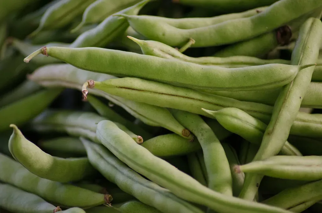 Rancho Gordo Heirloom Beans: Cult Following Meets Market Value (Image Credits: Flickr)