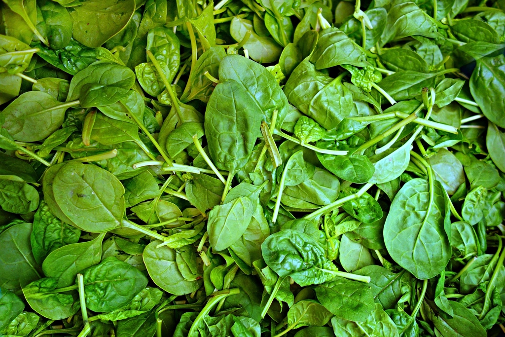 Spinach: The Pesticide-Heavy Leafy Green (image credits: rawpixel)