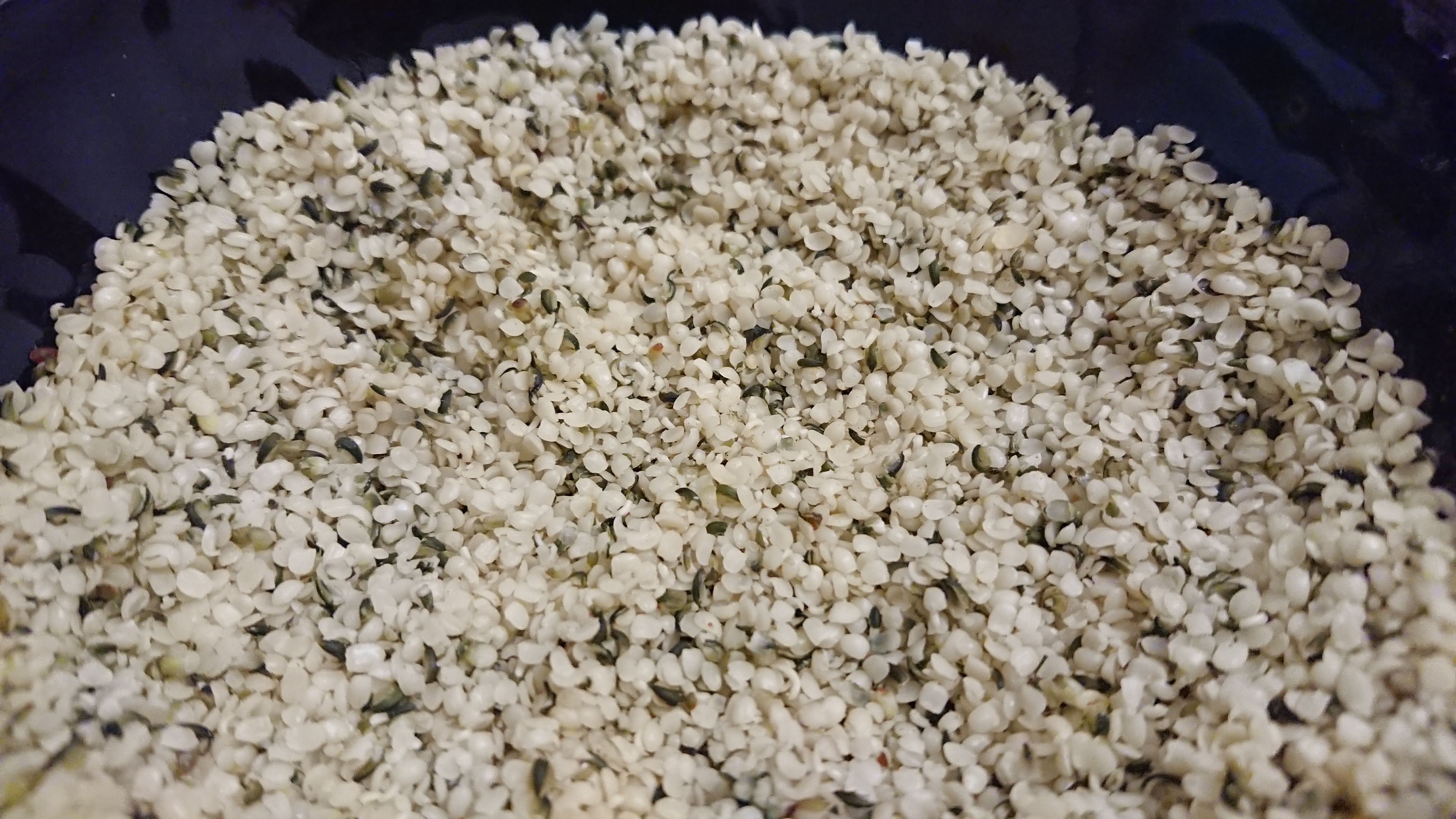 Hemp Seeds (image credits: wikimedia)
