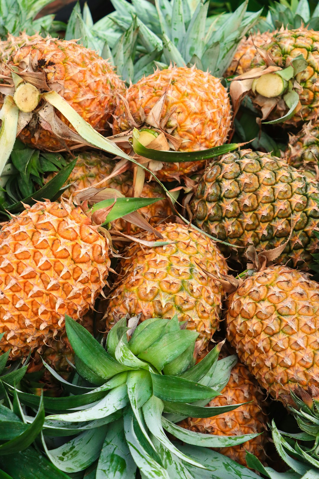 Pineapple (image credits: unsplash)