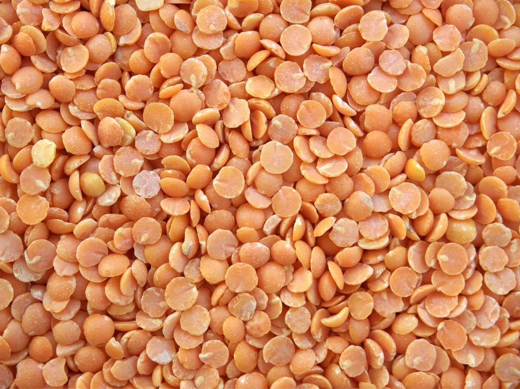 Beans and Lentils - Your Protein Powerhouses (image credits: rawpixel)