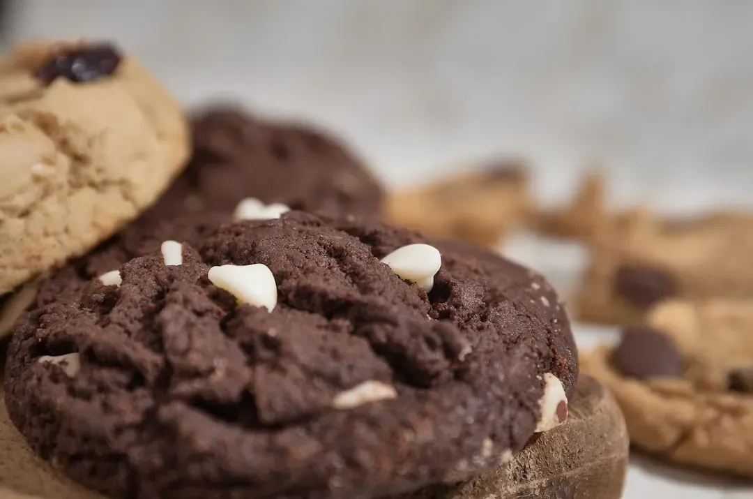 Introduction (Image Credits: Unsplash)