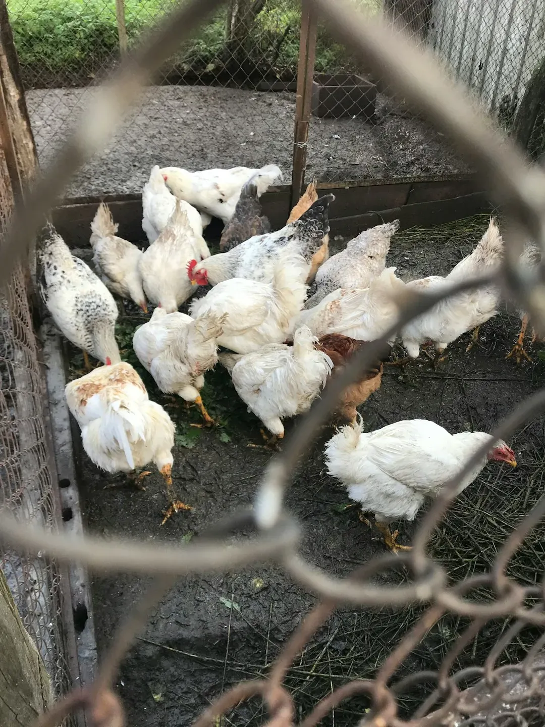 The Slow and Painful Road to Recovery (Image Credits: Unsplash)