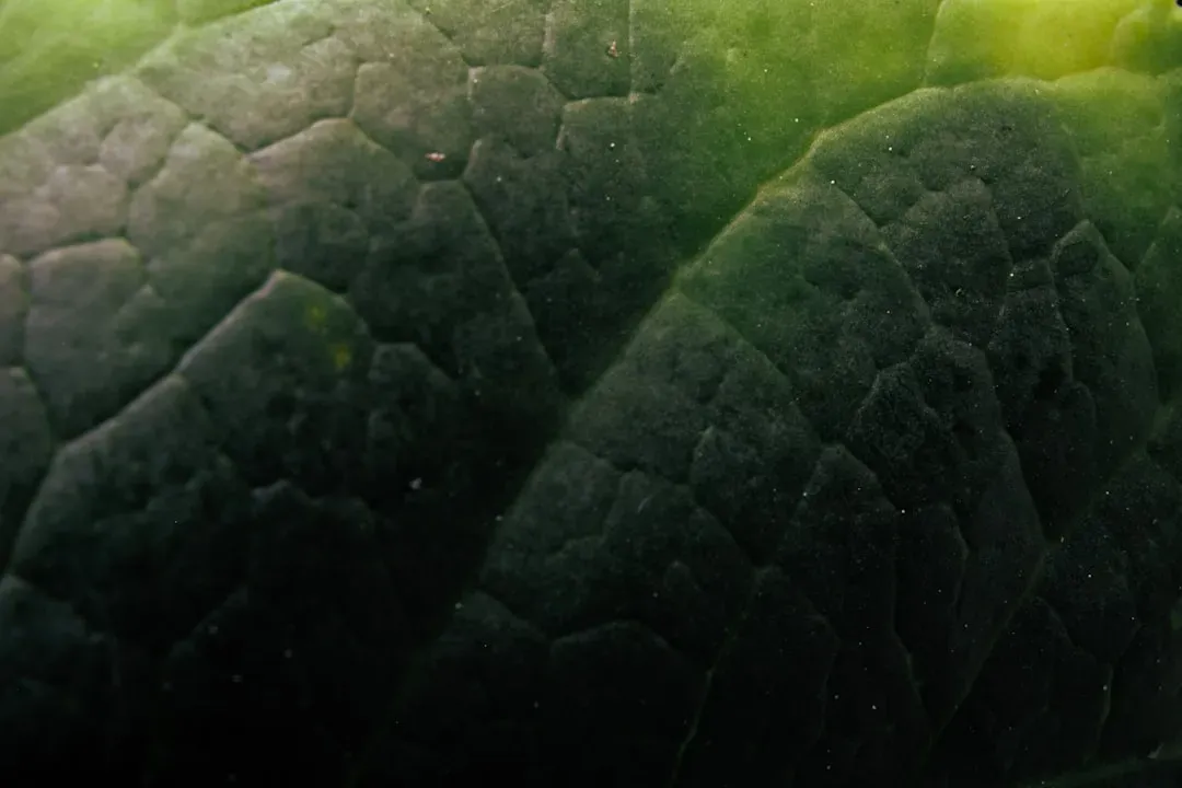 The Carbon Footprint Doesn't Make You Look Green (Image Credits: Unsplash)