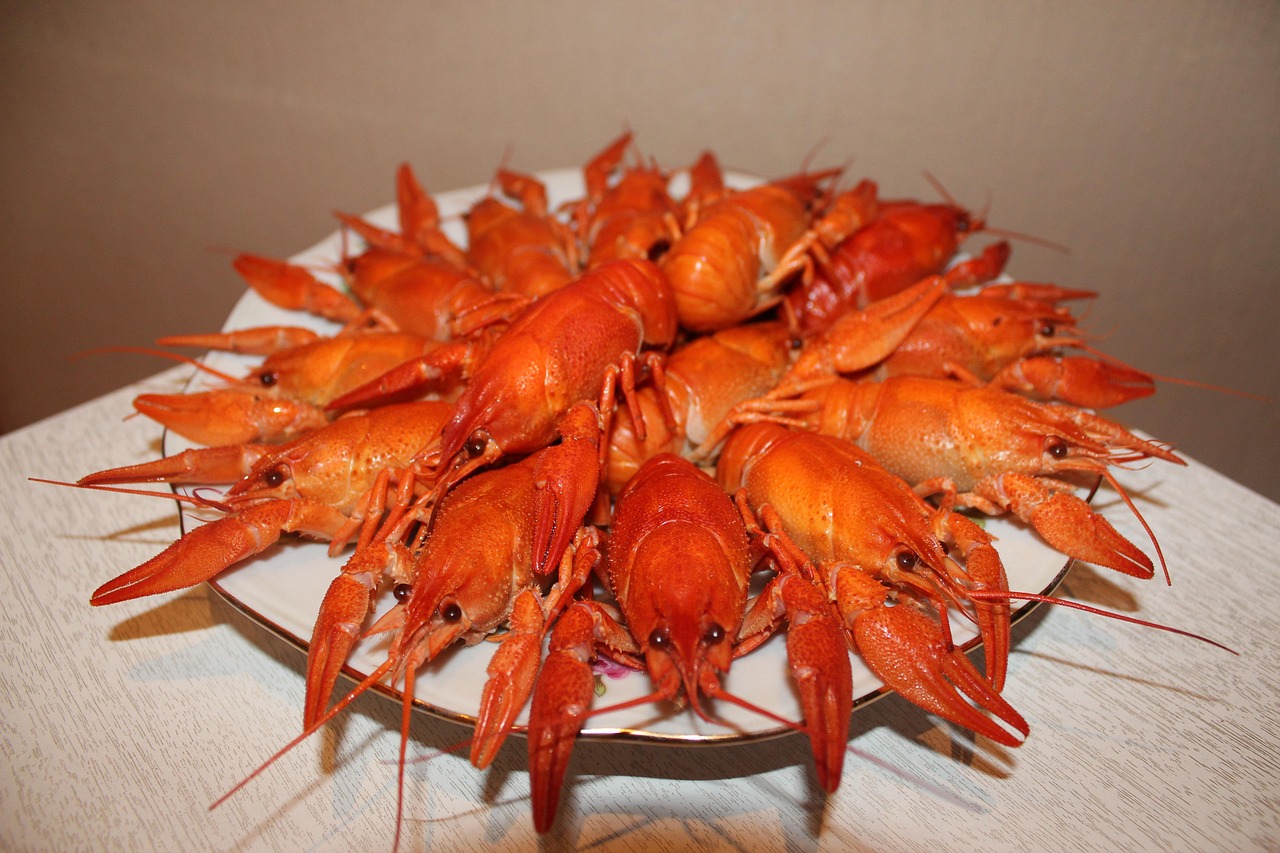 Crawfish - Freshwater Gems (image credits: pixabay)