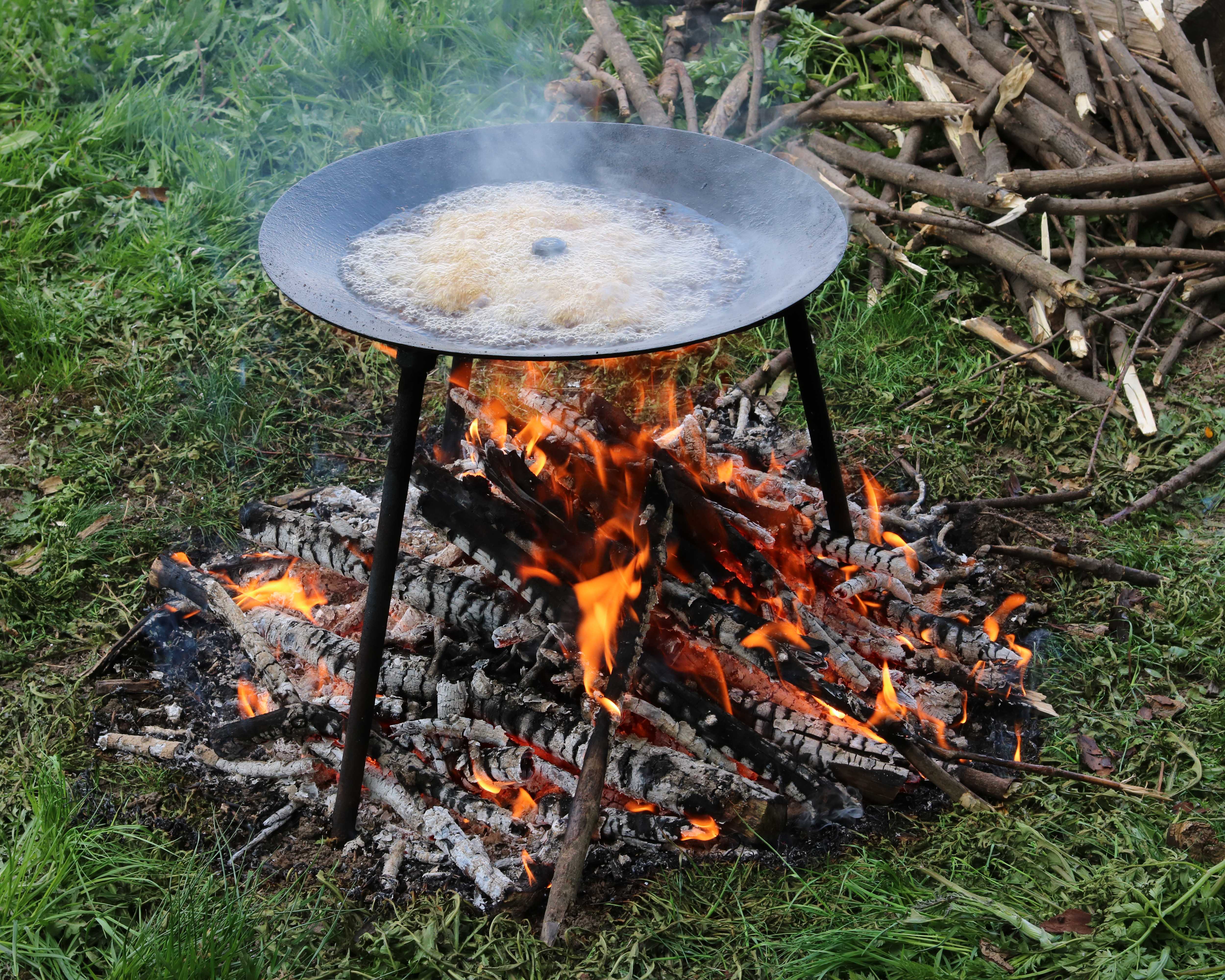 Overheating Coconut Milk (image credits: wikimedia)