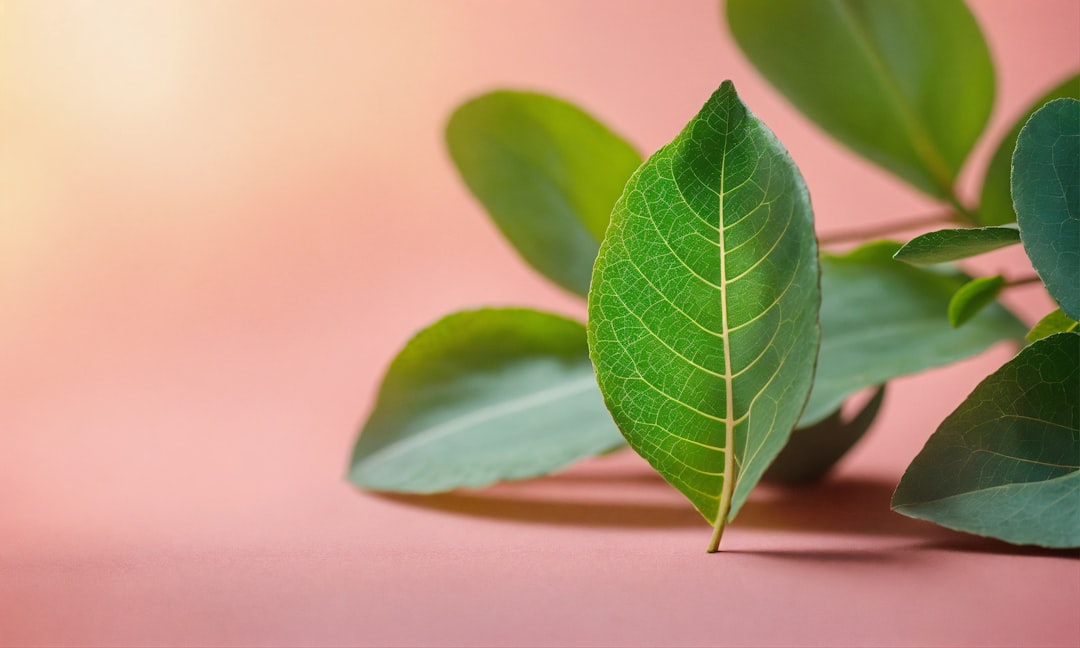 Flavor with Herbs and Spices (image credits: unsplash)