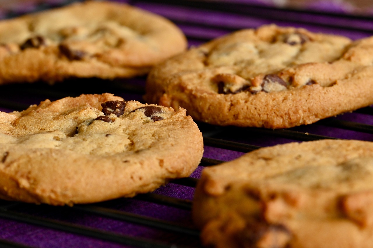 5. Chocolate Chip Cookies (image credits: pixabay)
