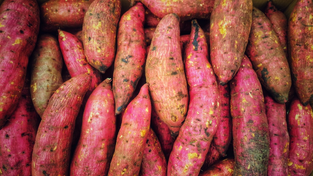 Okinawa, Japan: Purple Sweet Potatoes and Bitter Melon (image credits: unsplash)