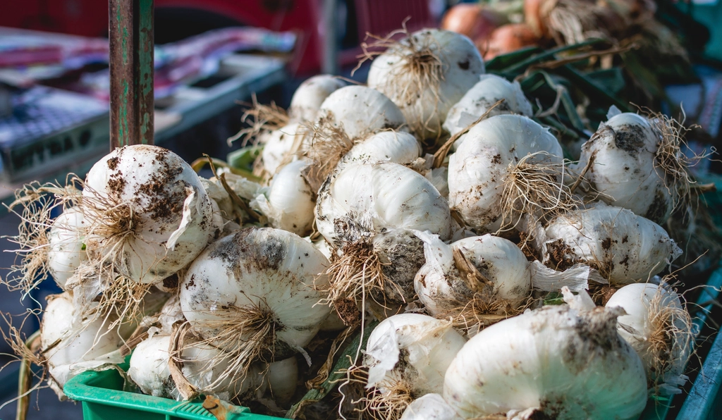 Garlic: Nature's Antibiotic Powerhouse (Image Credits: Rawpixel)