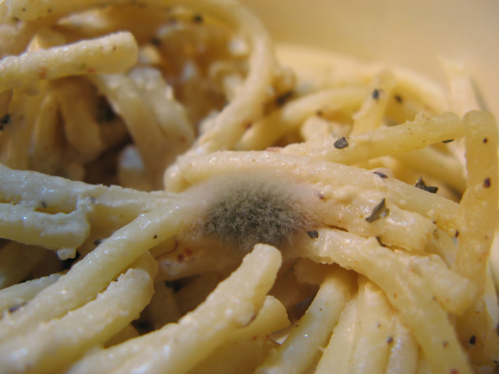 Pasta Salad After 3 Days (image credits: flickr)
