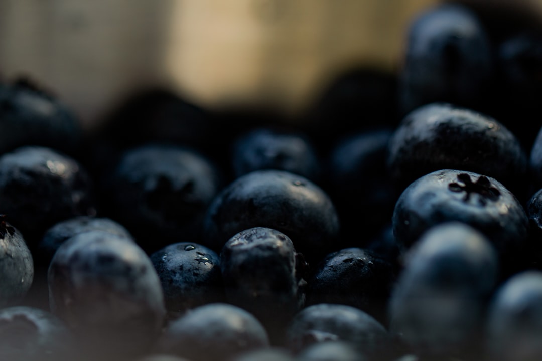 Beyond Just Focus (image credits: unsplash)