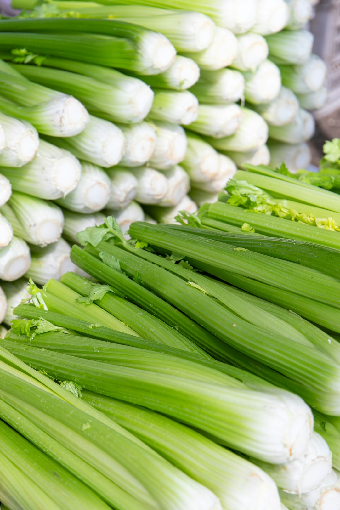 Celery: The Crunchy Hydrator (image credits: unsplash)