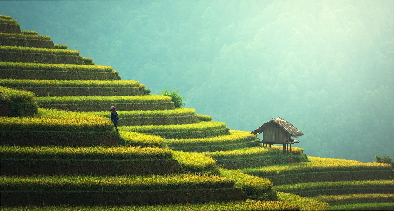 The Environmental Game-Changer (image credits: pixabay)