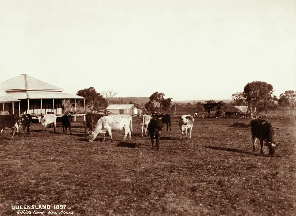Cattle Were Simply Different Animals Back Then (Image Credits: Flickr)