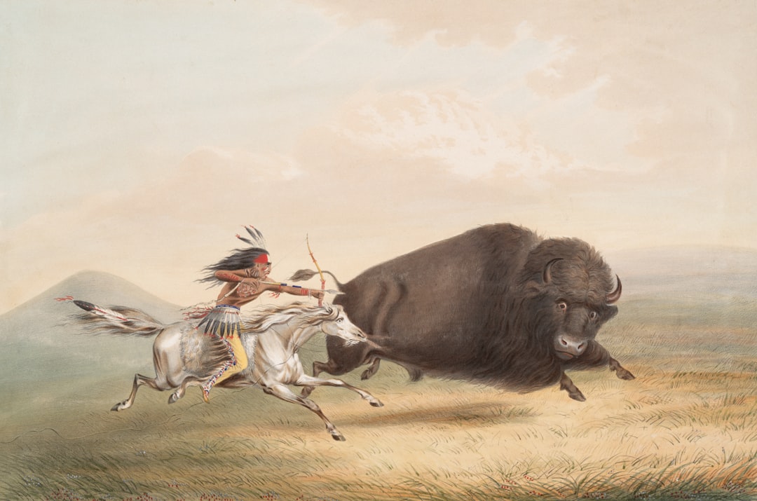 Buffalo Wraps in the World of Social Media (image credits: unsplash)