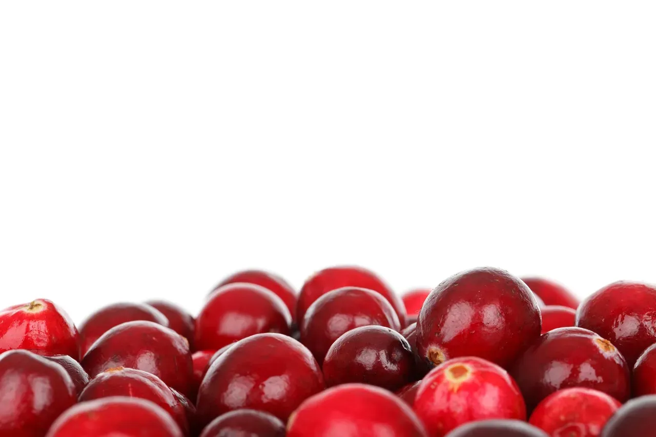 Cranberries: The Underrated Summer Berry (Image Credits: Pixabay)