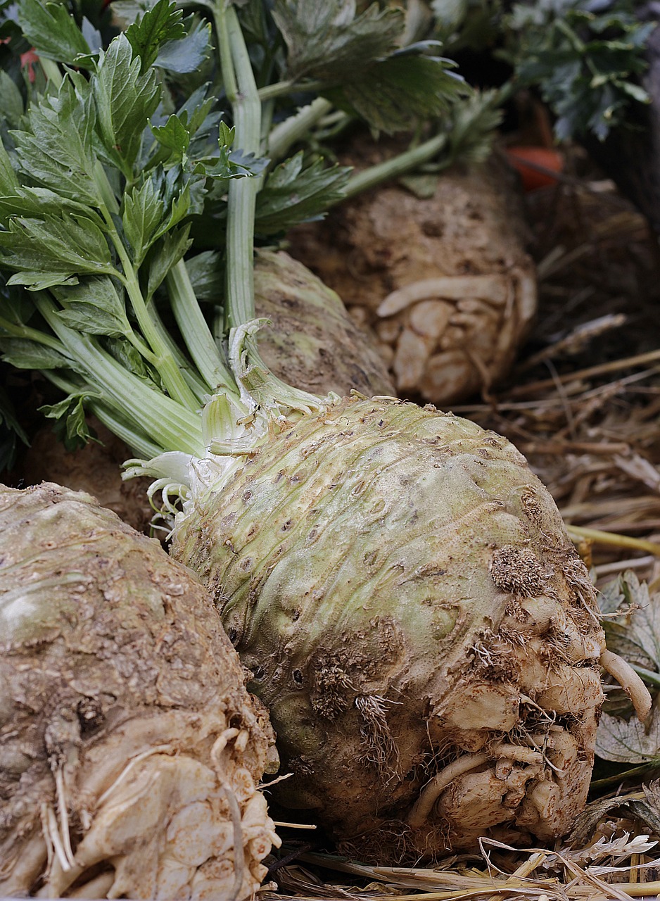 Celeriac (Celery Root) (image credits: pixabay)