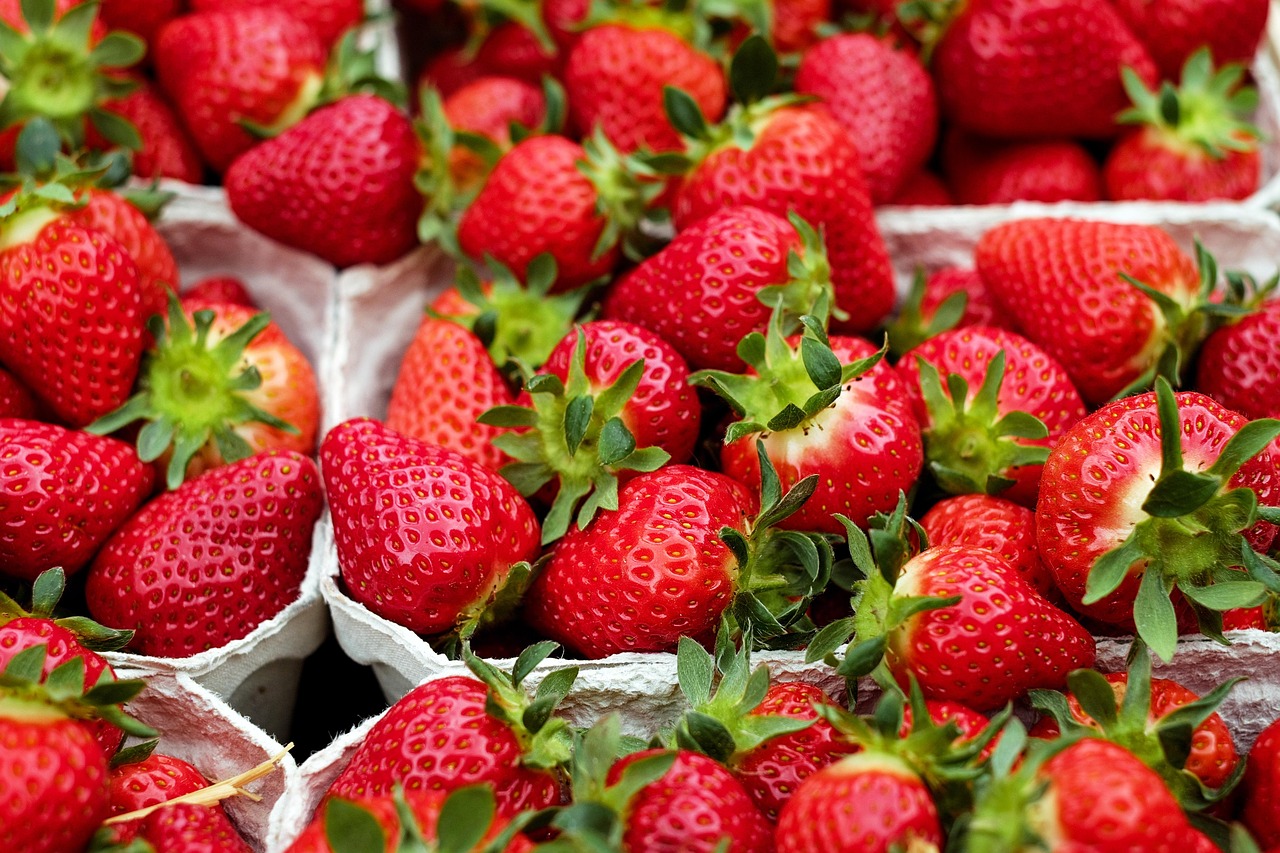 Berries (image credits: pixabay)