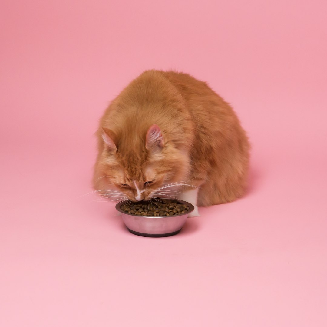 Leaving Food Out All Day (image credits: unsplash)