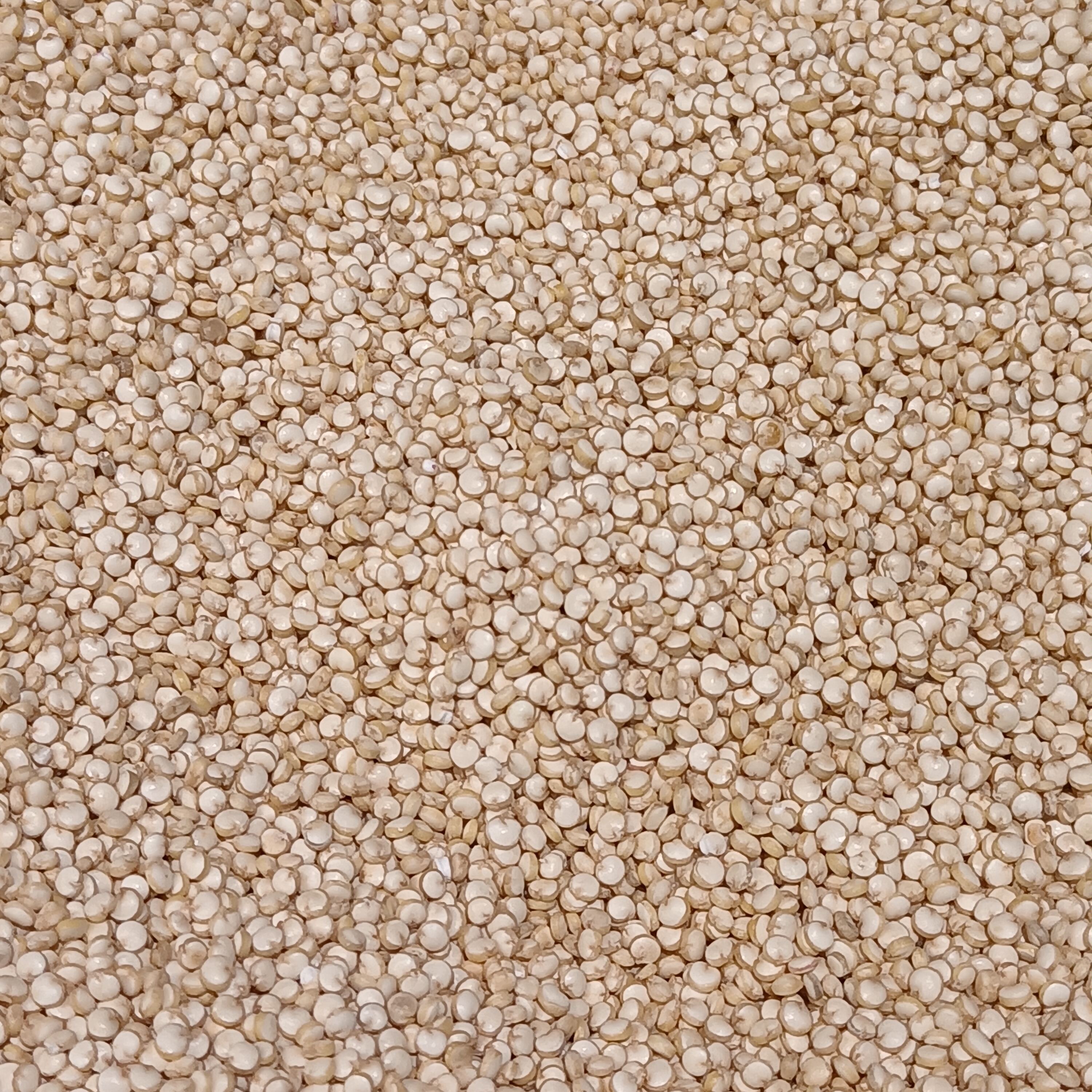 Quinoa: A Nutrient-Dense Grain (image credits: wikimedia)